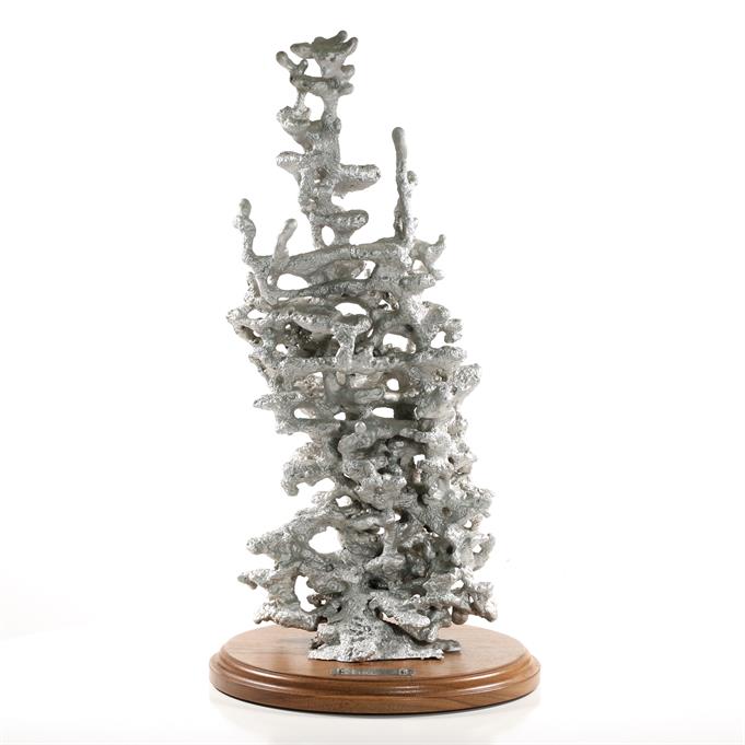 Aluminum Field Ant Colony Cast #023 - Front Picture.