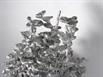 Aluminum Fire Ant Colony Cast - Closeup 1 Picture.