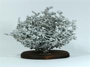 Aluminum Fire Fire Ant Colony Cast #060 - Front Picture.