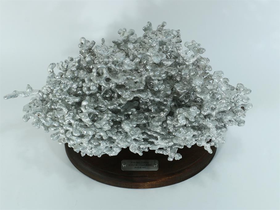 Aluminum Fire Ant Colony Cast #060 - Top Angle Picture.