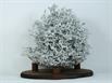 Aluminum Fire Ant Colony Cast - Back Picture.