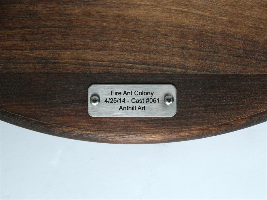 Stainless steel plaque of the aluminum fire ant colony