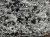 Aluminum Fire Ant Colony Cast - Closeup 4 Picture.