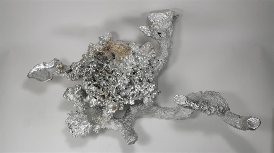 Aluminum Fire Ant Colony Cast #064 - Top Picture.