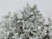 Aluminum Fire Ant Colony Cast - Closeup 3 Picture.