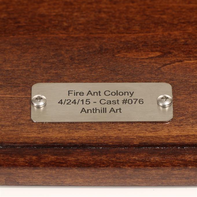 Aluminum Fire Ant Colony Cast #076 - Plaque Picture.