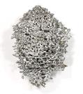 Aluminum Fire Ant Colony Cast #077 - Front Picture.