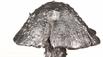Aluminum Amanita Mushroom Cast - Cap Picture.