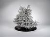 Aluminum Fire Ant Colony Cast - Back Picture.