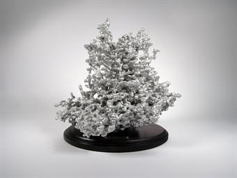 Mounted display of an aluminum fire ant colony cast, picture from the front.
