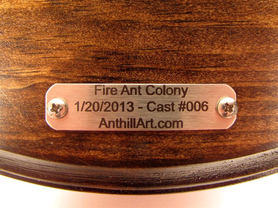 Stainless steel plaque on the base.