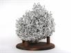 Aluminum Fire Ant Colony Cast - Back Picture.