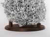 Aluminum Fire Ant Colony Cast - Base Closeup Picture.