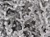 Aluminum Fire Ant Colony Cast - Closeup 1 Picture.