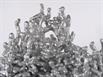 Aluminum Fire Ant Colony Cast - Closeup 2 Picture.