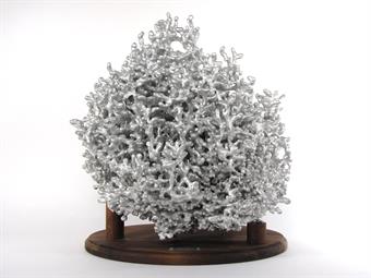 Aluminum Fire Ant Colony Cast #010 - Front Picture.