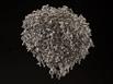 Aluminum Fire Ant Colony Cast - Museum 4 Picture.