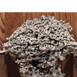 Aluminum Fire Ant Colony Cast - Surface Mound Picture.