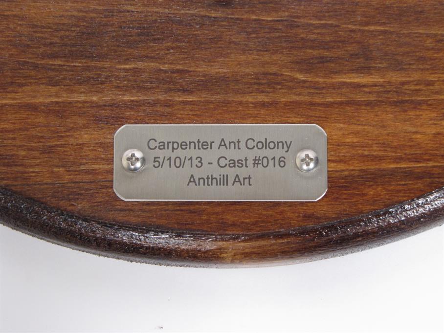 Stainless steel plaque