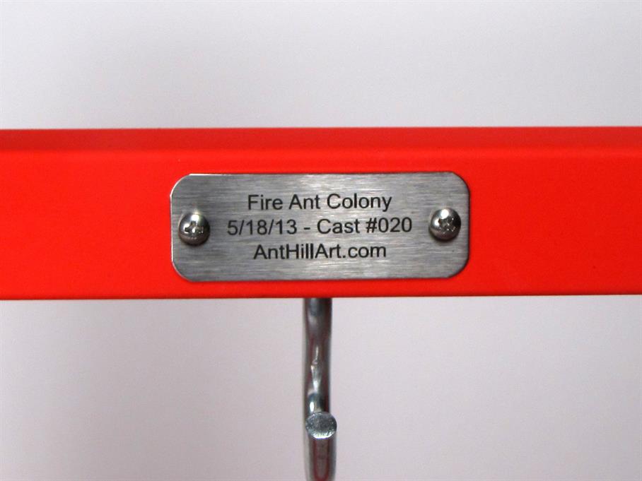 Aluminum Fire Ant Colony Cast #020 - Plaque Picture.
