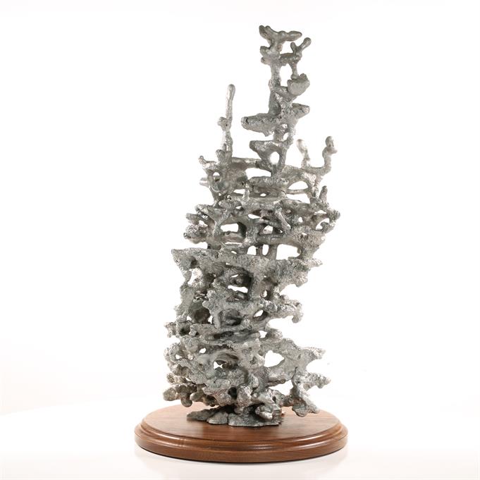 Aluminum Field Ant Colony Cast #023 - Back Picture.