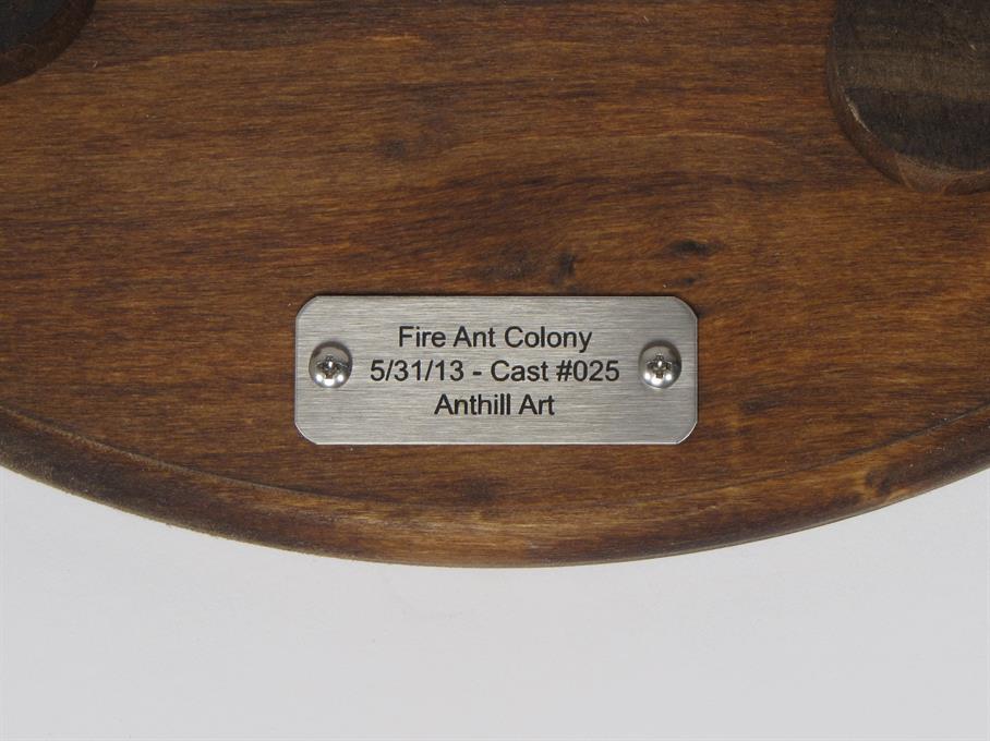 Aluminum Fire Ant Colony Cast #025 - Plaque Picture.