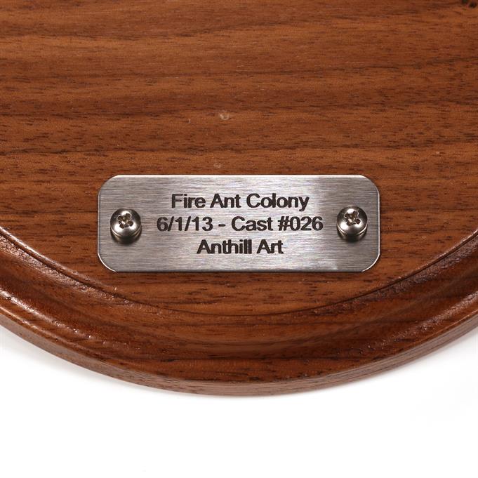 Aluminum Fire Ant Colony Cast #026 - Plaque Picture.