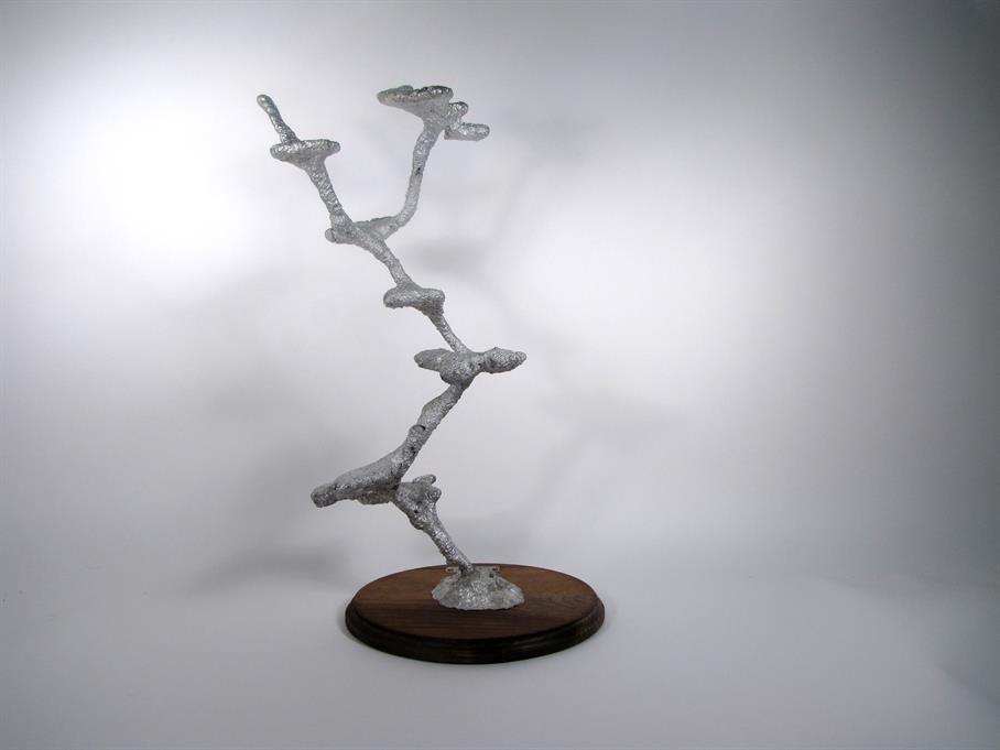 Aluminum Carpenter Ant Colony Cast #031 - Back Picture.