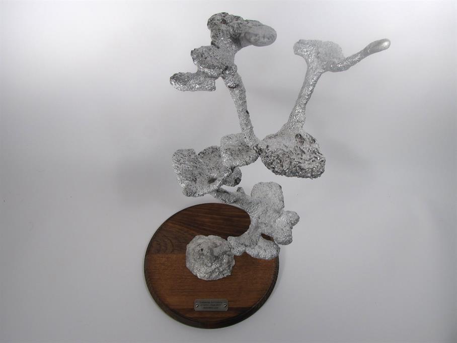 Aluminum Carpenter Ant Colony Cast #031 - Top Angle Picture.