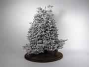 Aluminum Fire Fire Ant Colony Cast #033 - Front Picture.