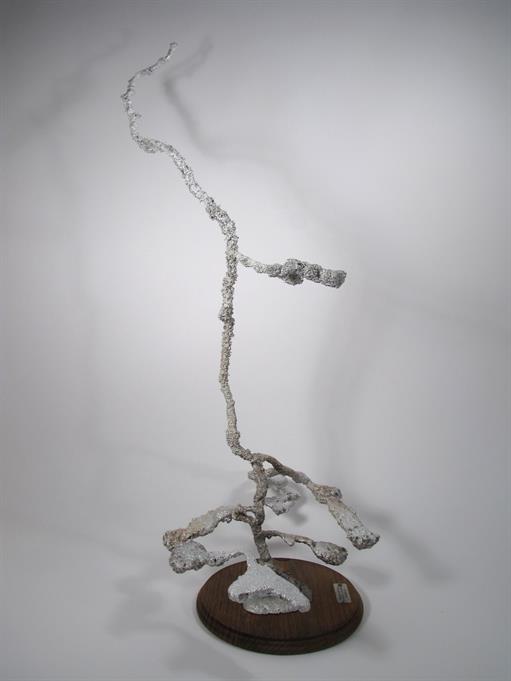 Aluminum Carpenter Ant Colony Cast #042 - Left Picture.