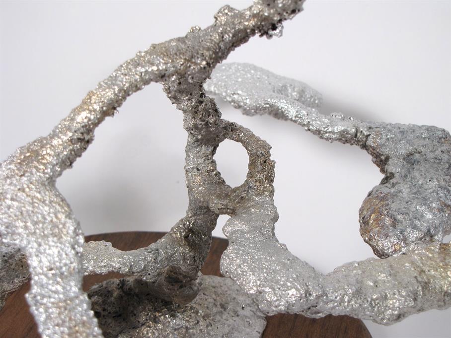 Aluminum Carpenter Ant Colony Cast #042 - Loop Picture.