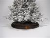 Aluminum Fire Ant Colony Cast - Base Closeup Picture.