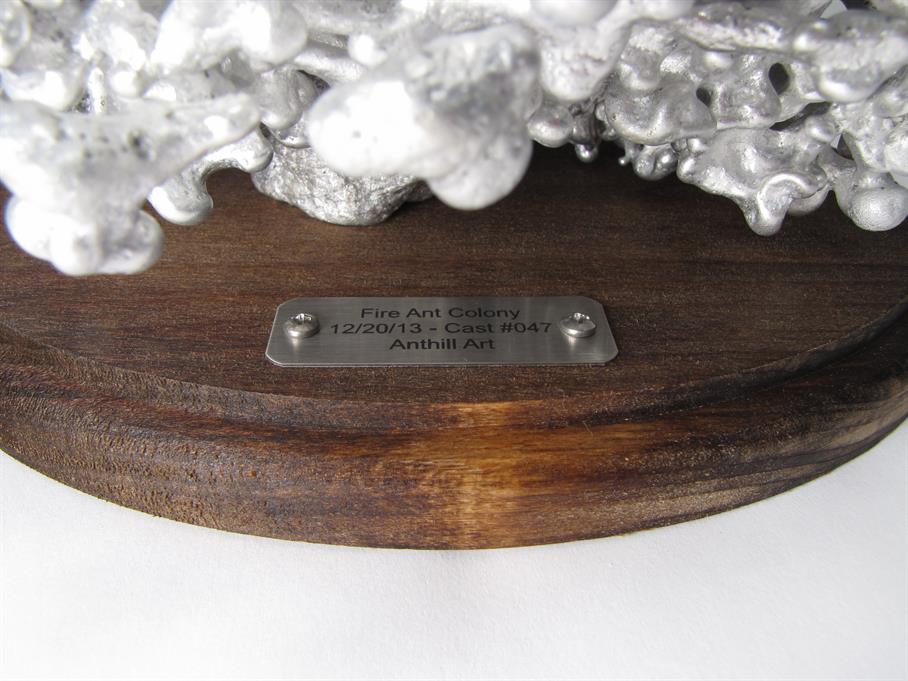 Aluminum Fire Ant Colony Cast #047 - Plaque Picture.