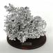 Aluminum Fire Ant Colony Cast - Above Angle Picture.