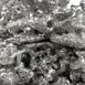 Aluminum Fire Ant Colony Cast - Close Up Picture.