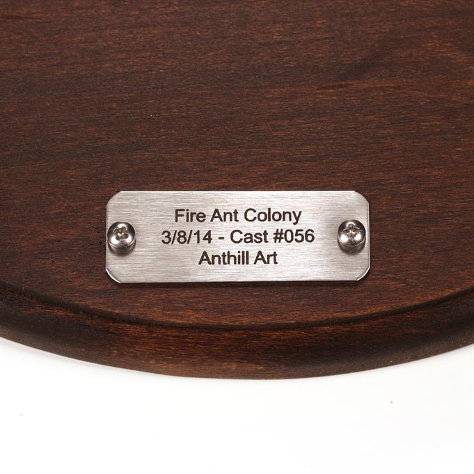 Aluminum Fire Ant Colony Cast #056 - Plaque Picture.