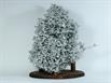 Aluminum Fire Ant Colony Cast - Back Picture.