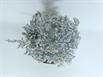 Aluminum Fire Ant Colony Cast - Top Picture.