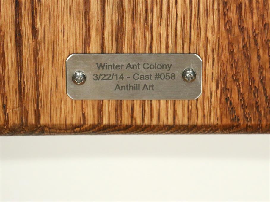 Zinc Winter Ant Colony Cast #058 - Plaque Picture.