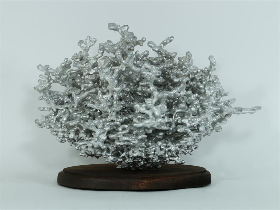 Aluminum Fire Ant Colony Cast #060 - Back Picture.