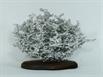 Aluminum Fire Ant Colony Cast - Back Picture.