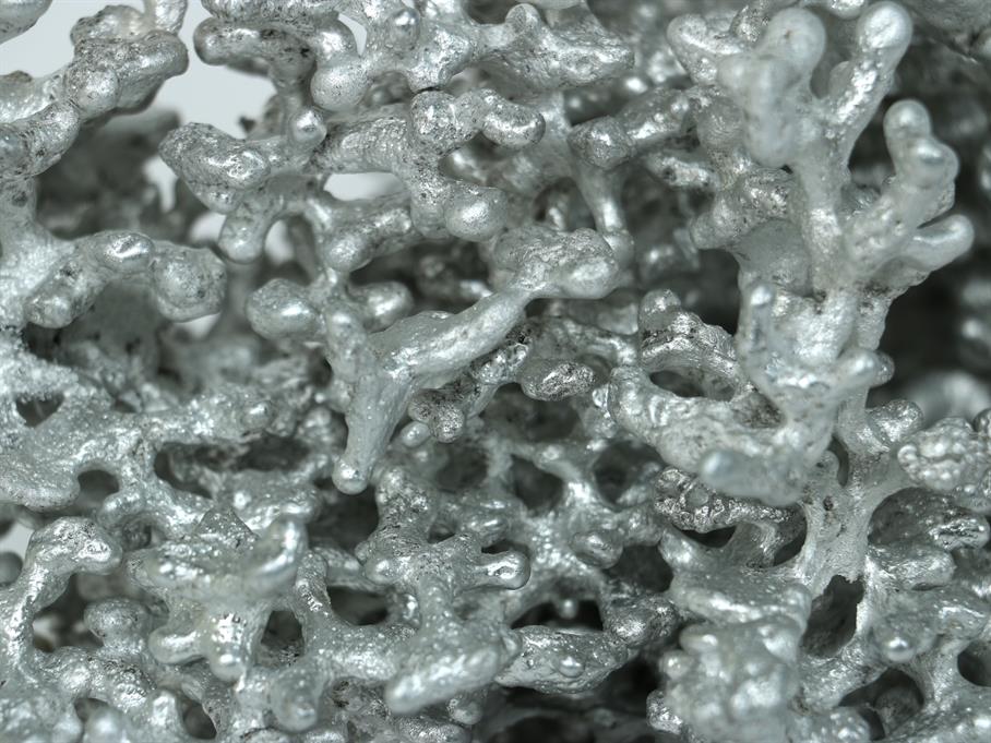 Aluminum Fire Ant Colony Cast #060 - Closeup 1 Picture.