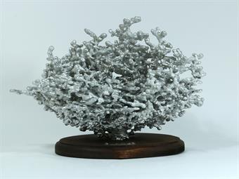 Aluminum Fire Ant Colony Cast #060 - Front Picture.