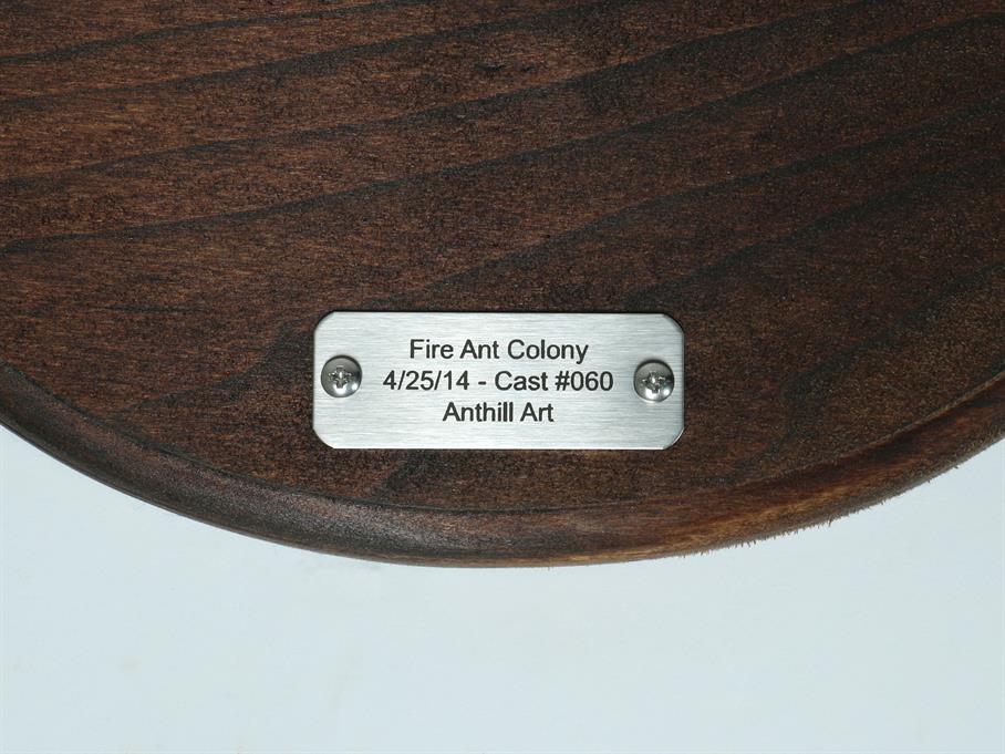 Aluminum Fire Ant Colony Cast #060 - Plaque Picture.