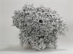 Aluminum Fire Ant Colony Cast - Cast Bottom Picture.