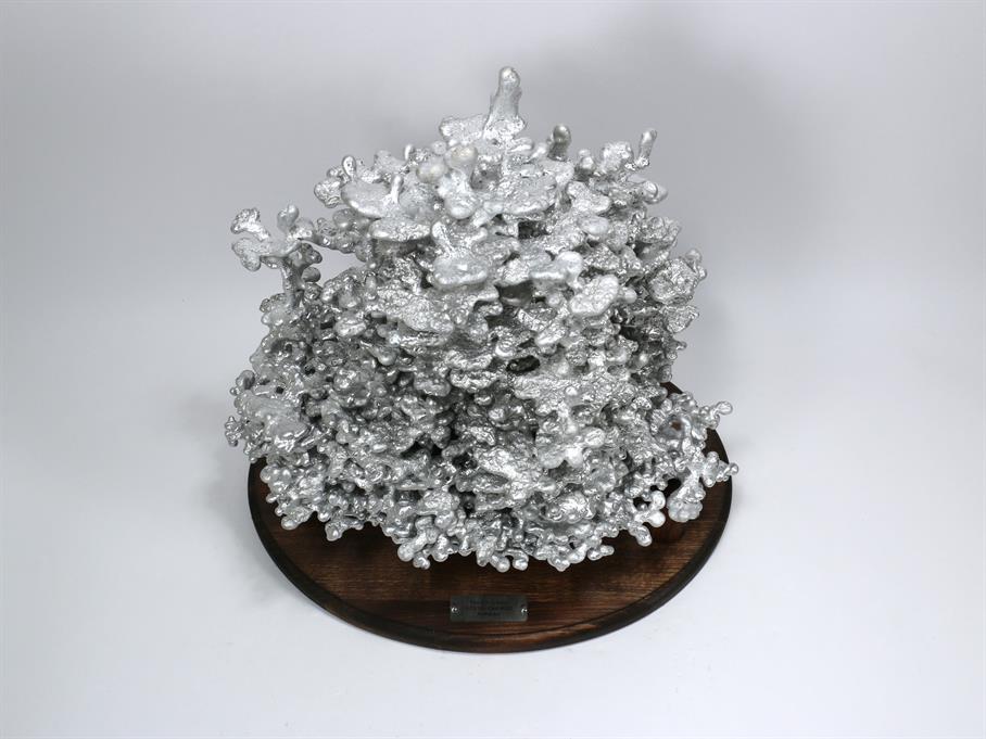 Aluminum Fire Ant Colony Cast #062 - Top Angle Picture.