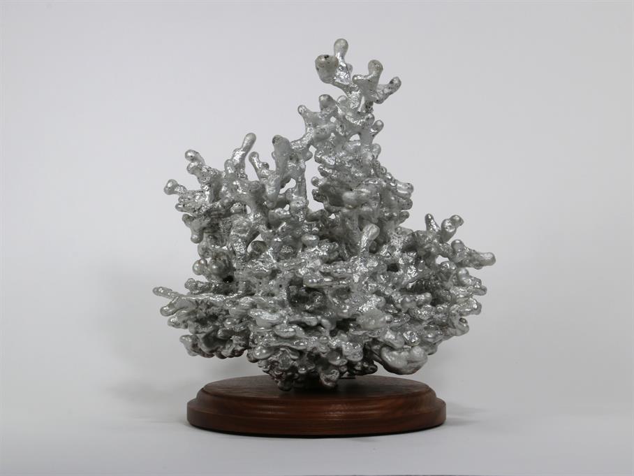 Aluminum Fire Ant Colony Cast #065 - Back Picture.