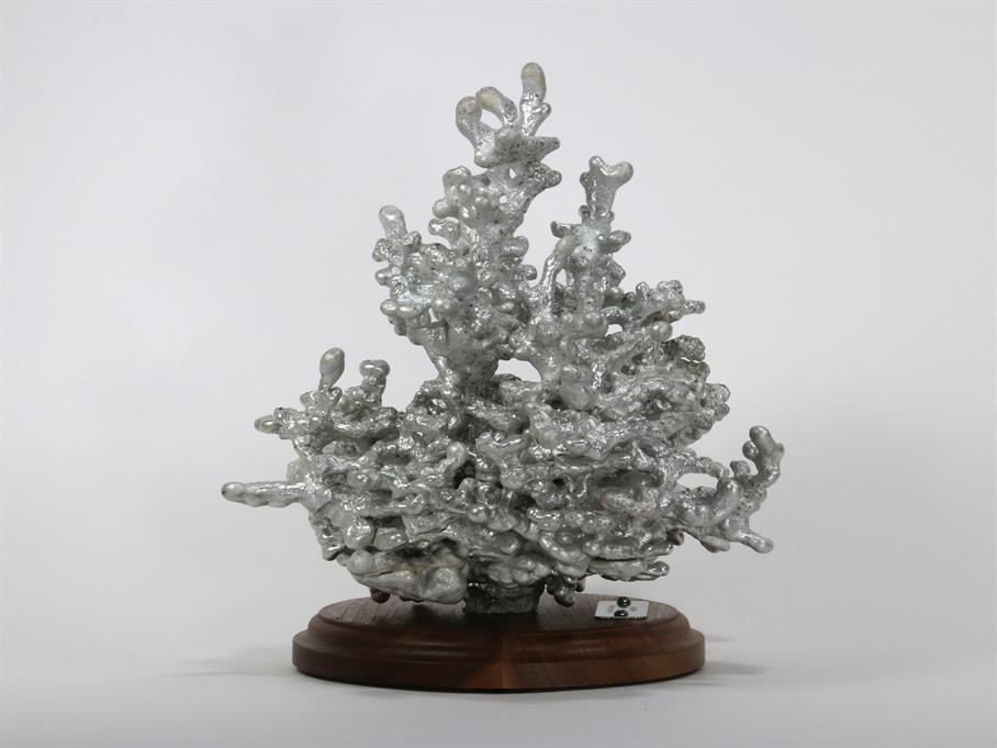 Aluminum Fire Ant Colony Cast #065 - Left Picture.