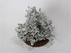 Aluminum Fire Ant Colony Cast - Top Angle Picture.